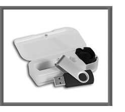 Corporate gift usb